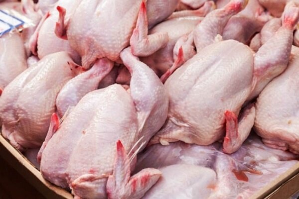 سرانه مصرف روزانه گوشت مرغ در بندر لنگه بین ۸ تا ۱۰ تن است