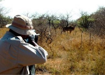 دستگیری دو نفر متخلف شکار و صید در شهرستان بندرلنگه