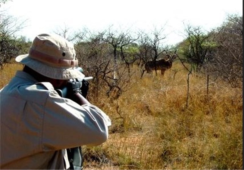 دستگیری دو نفر متخلف شکار و صید در شهرستان بندرلنگه