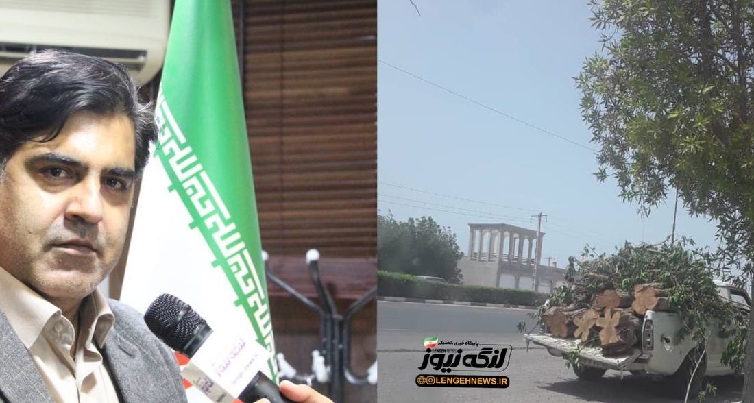 تصاویر منتشر شده در خصوص قطع درختان مربوط به بندرلنگه نیست