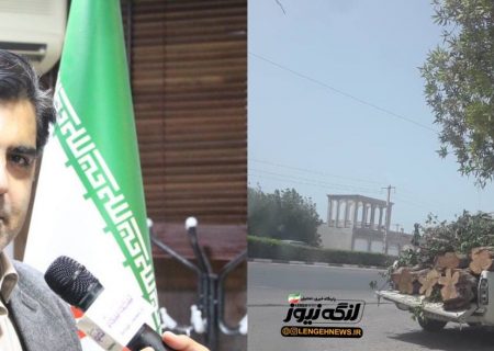 تصاویر منتشر شده در خصوص قطع درختان مربوط به بندرلنگه نیست