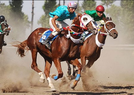 باراد طوس محمد و حسین فریدی نایب قهرمان مسابقات اسب دوانی کشور شد