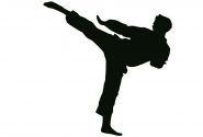 اعزام کاروان ۱۰۳ نفره تیم کاراته شوتوکان IKD هرمزگان به مسابقات آسیایی کاراته