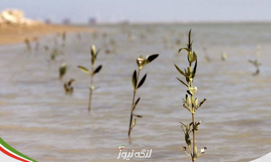 اتمام پروژه حراکاری در خورها و سواحل بندرلنگه