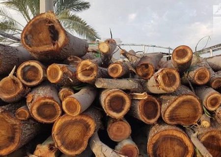 کنترل محموله های چوب در جاده های مواصلاتی شهرستان بندرلنگه