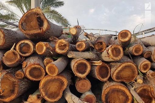 کنترل محموله های چوب در جاده های مواصلاتی شهرستان بندرلنگه