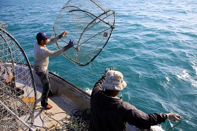 صید با گرگور یکی از بهترین شیوه‌های صید ماهی با ناخدا مجید