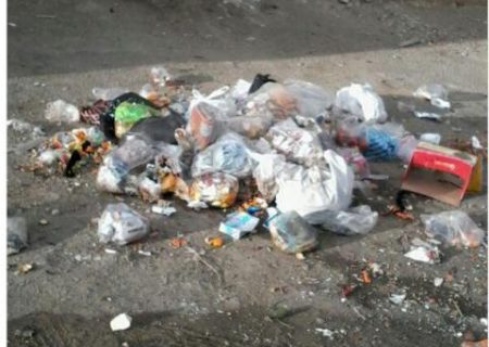 صدای مردم/ فقدان سطل زباله و زباله های ریخته شده بر زمین در روستای گرزه!