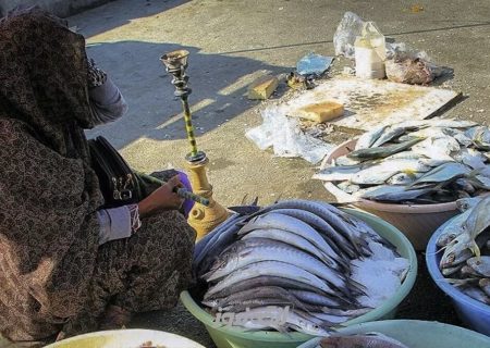 ممنوعیت صید برخی آبزیان در آب‌های هرمزگان