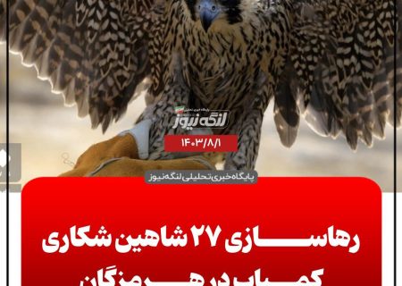 رهاسازی ۲۷ شاهین شکاری کمیاب در هرمزگان