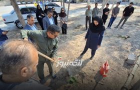 برگزاری پویش مردمی نهال‌کاری روز دانشجو در بندرلنگه