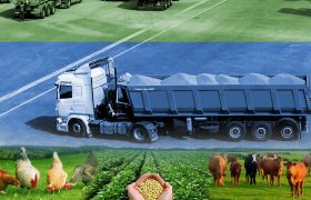 پایداری قرنطینه نباتی در روزهای جنگ؛ واردات و صادرات ۸۷ تن محصولات کشاورزی از بندرلنگه