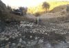 پایان مرحله نخست طرح آبخیزداری حوزه انجیره در بندرلنگه