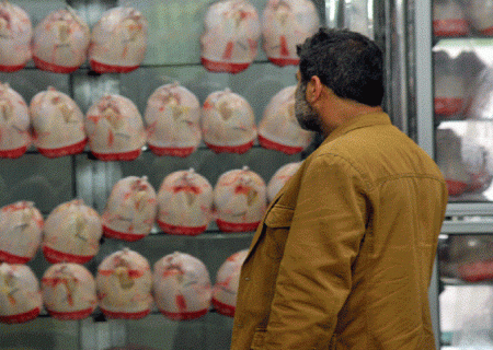 جریمه ۱۶ میلیون تومانی یک واحد صنفی مرغ فروشی