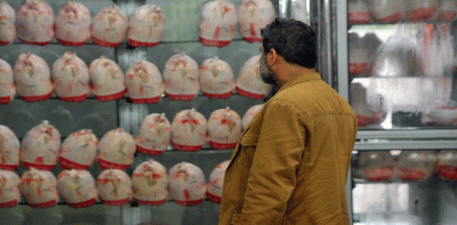 جریمه ۱۶ میلیون تومانی یک واحد صنفی مرغ فروشی