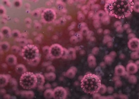 کرونا همچنان قربانی می گیرد