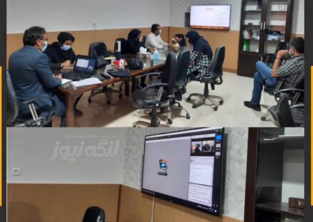 برگزاری وبینار کشوری در زمینه کنترل پشه آئدس در شبکه بهداشت و درمان بندرلنگه
