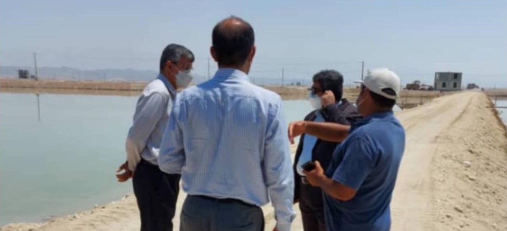 بازدید فرماندار بندرلنگه از پروژه پرورش میگو سایت تدارک جنوب کیش