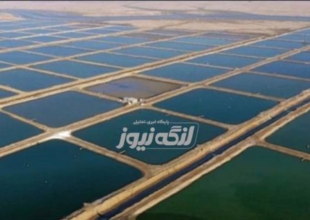 واگذاری بزرگ‌ترین سایت پرورش میگو کشور به بنیاد شهید