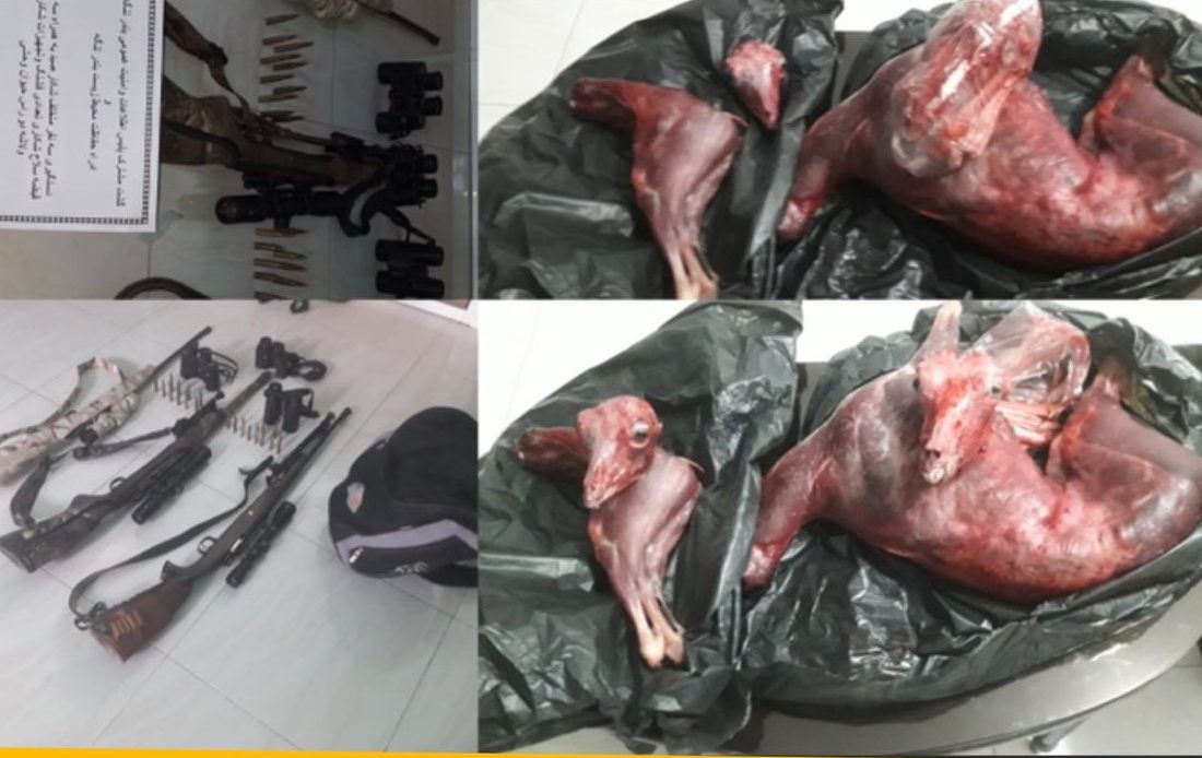 دستگیری سه متخلف صید و شکار در بندرچارک