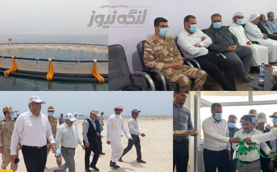 با حمایت‌های استاندار هرمزگان محدودیتی برای ورود سرمایه‌گذاران در پرورش آبزیان شهرستان بندرلنگه نداریم/ اعلام آمادگی جهت استفاده از ظرفیت دانش بنیان‌ها در پرورش آبزیان