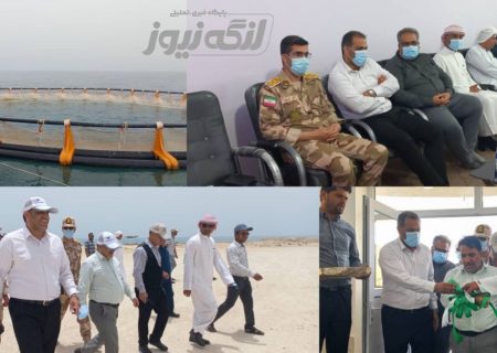 با حمایت‌های استاندار هرمزگان محدودیتی برای ورود سرمایه‌گذاران در پرورش آبزیان شهرستان بندرلنگه نداریم/ اعلام آمادگی جهت استفاده از ظرفیت دانش بنیان‌ها در پرورش آبزیان