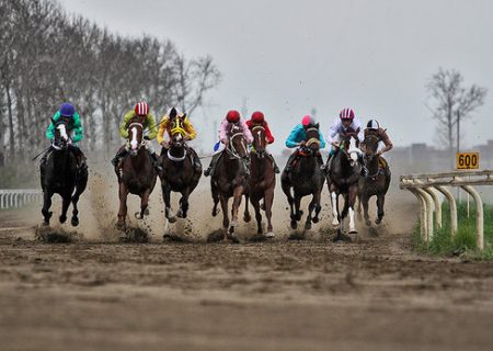 باراد طوس محمد و حسین فریدی نایب قهرمان کشور شد