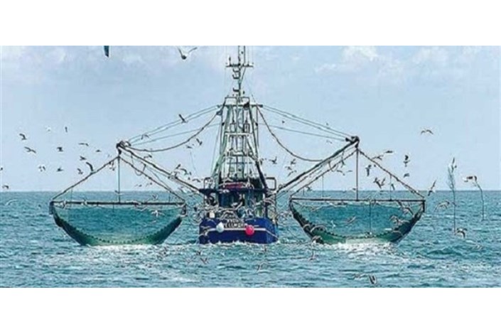 صیادان بومی خواستار توقف دائمی صید مخرب ترال صنعتی هستند