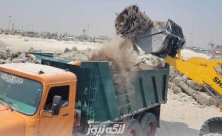 ۲۵۰ درخت نخل مانده در گمرک بندرلنگه  نابود شدند