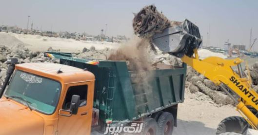 ۲۵۰ درخت نخل مانده در گمرک بندرلنگه نابود شدند