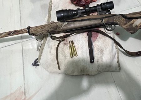 شکارچیان حیوانات وحشی در تور مأموران بندرلنگه