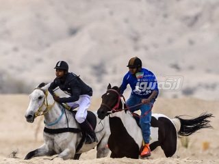 برگزاری مسابقه کورس اسب دوانی در گزیر