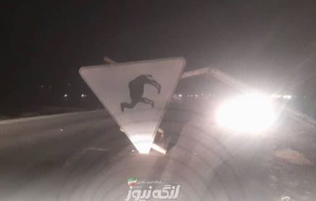 سقوط تابلو خطر عبور شتر حوالی کنخ / رانندگان احتیاط کنند