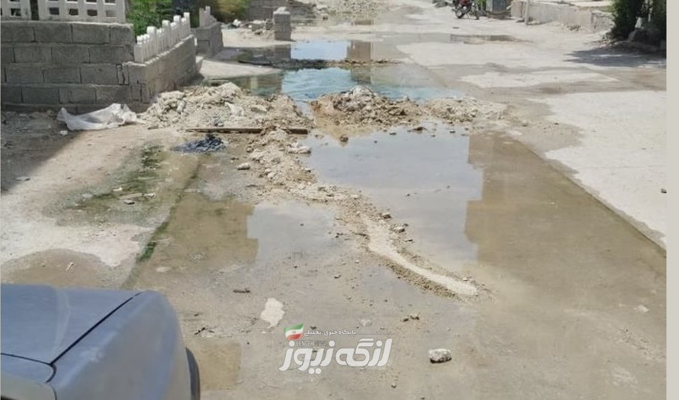 پشه آئدس در کمین ساکنین مجتمع ۵۰۰ واحدی بندرلنگه!