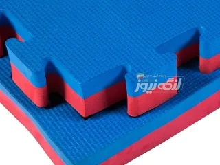 اهدای یک تخته تشک استاندارد بین المللی به هیأت تکواندو شهرستان بندرلنگه