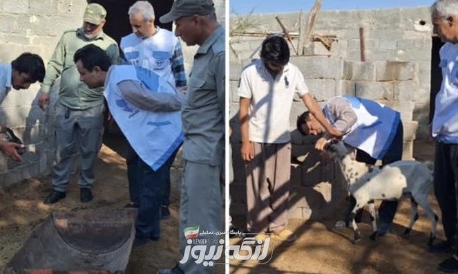 انجام واکسیناسیون دامهای اهلی در روستاهای همجوار مناطق حفاظت شده بندرلنگه
