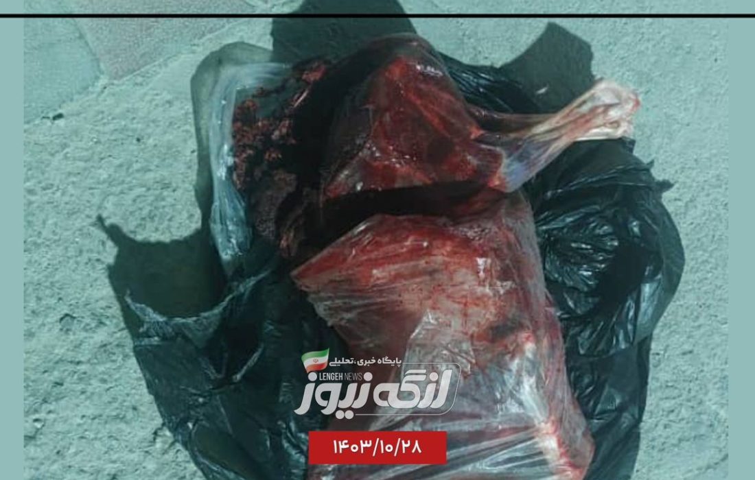 دستگیری یک متخلف شکار در روستای باغویه شهرستان بندرلنگه