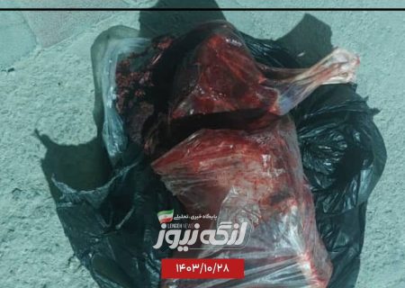 دستگیری یک متخلف شکار در روستای باغویه شهرستان بندرلنگه