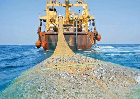 صید ممنوعه با تور ترال کفروب در نزدیکی بندرچیرویه