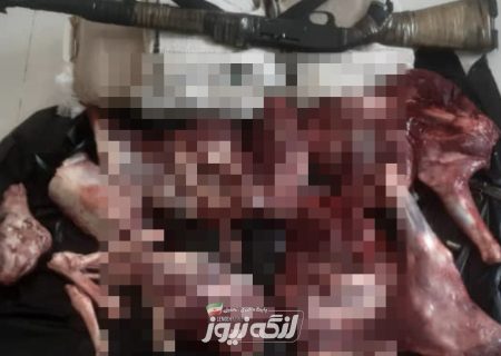 دستگیری متخلف شکار غیر مجاز در کوه سفید ارمک