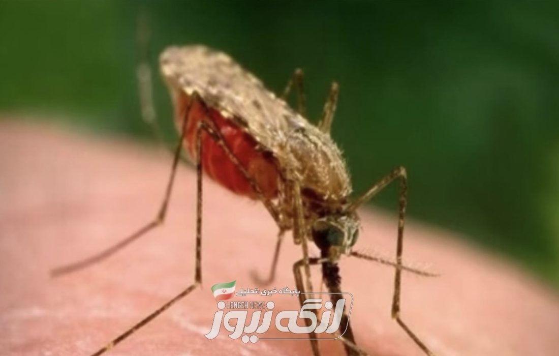 شناسایی و پیگیری به موقع فرد مبتلا به مالاریا در شهرستان بندرلنگه