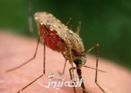 شناسایی و پیگیری به موقع فرد مبتلا به مالاریا در شهرستان بندرلنگه