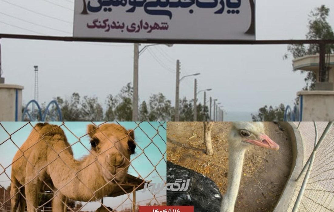 درخواست‌های مردمی برای مراقبت بیشتر از حیوانات پارک کوهین بندرکنگ