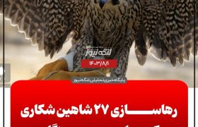 رهاسازی ۲۷ شاهین شکاری کمیاب در هرمزگان