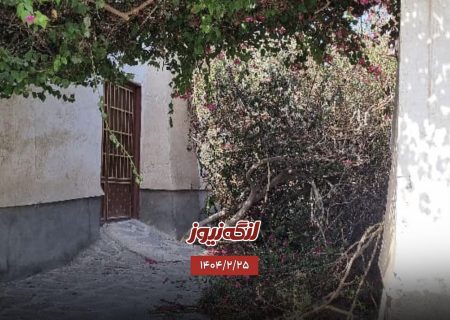 قطع درختان گل کاغذی در بافت تاریخی توسط افراد ناشناس؛ متخلفین تحت پیگرد قانونی قرار می‌گیرند