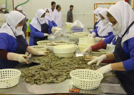 رشد تولید، با مشارکت مردم و اقدامات عملی برای تحقق آن در بندرلنگه