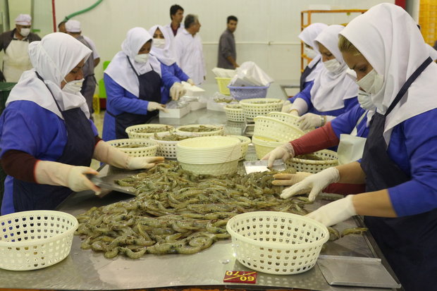 رشد تولید، با مشارکت مردم و اقدامات عملی برای تحقق آن در بندرلنگه