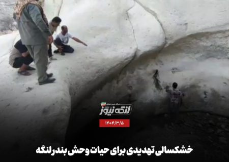 خشکسالی تهدیدی برای حیات وحش بندر لنگه