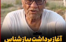 آغاز برداشت پیاز در بندرشناس