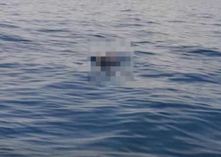 هویت جسد کشف‌شده در آب‌های بندرلنگه شناسایی شد/صیاد غرق‌شده اهل بندرعباس است